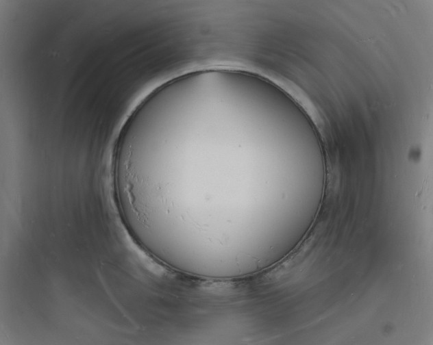 X0000093721006200711060933