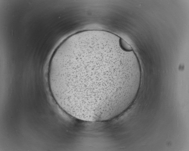 X0000093721008200711060933