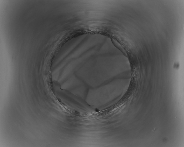 X0000093721009200711060932