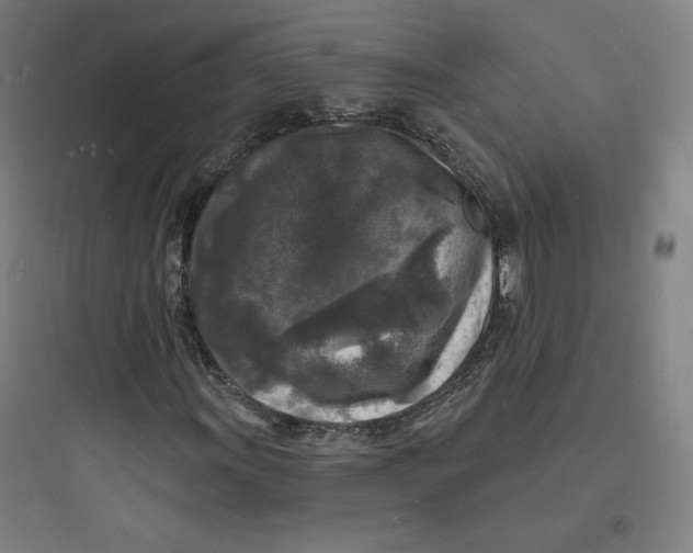 X0000093721011200711060932