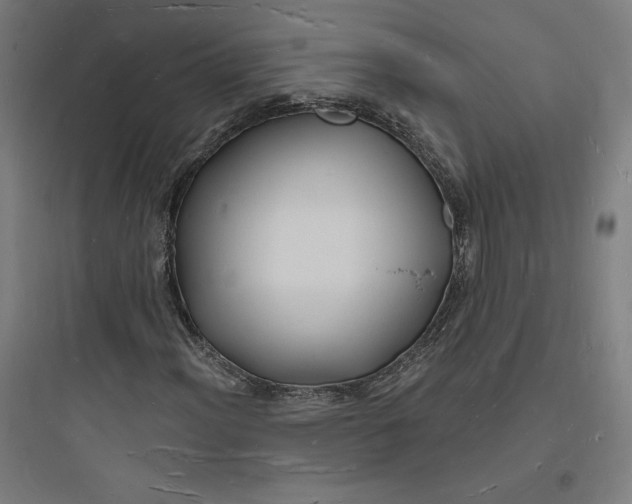 X0000093721012200711060932