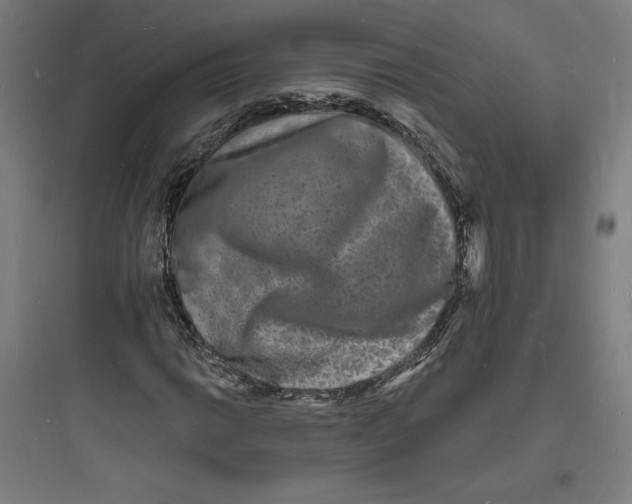 X0000093721014200711060932