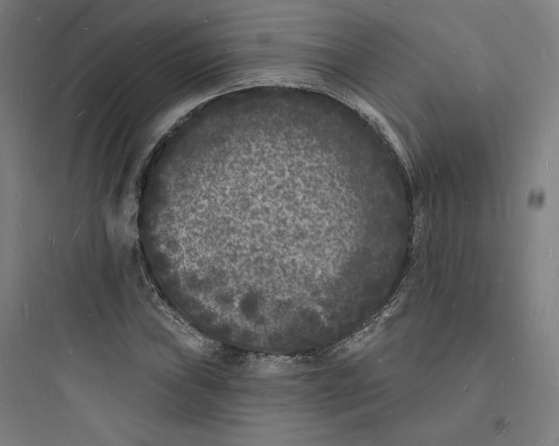 X0000093721019200711060932