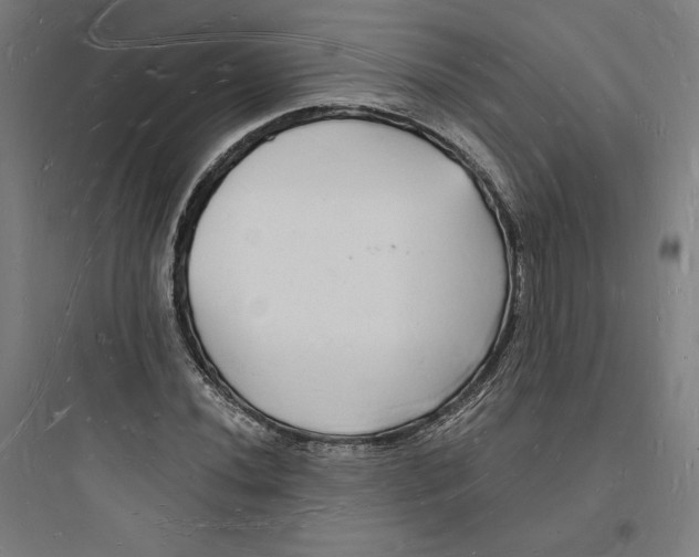 X0000093721020200711060932