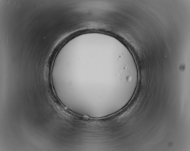 X0000093721021200711060932