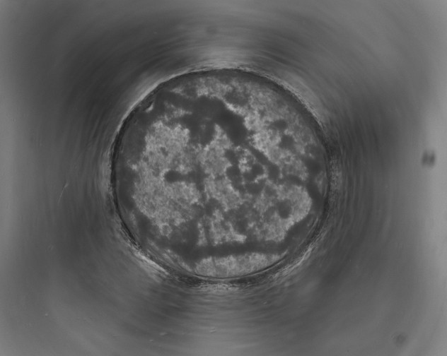 X0000093721023200711060932