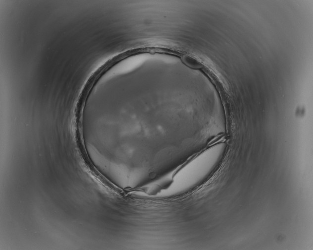 X0000093721024200711060932