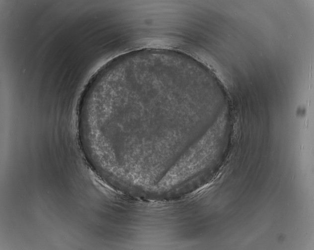 X0000093721027200711060933