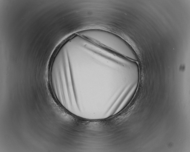 X0000093721028200711060933