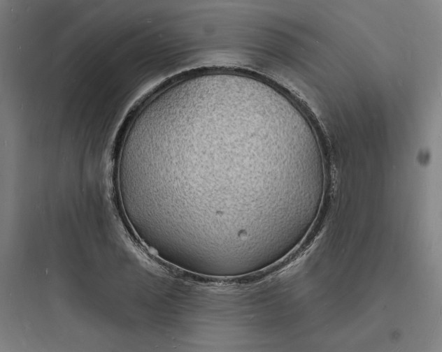 X0000093721029200711060933