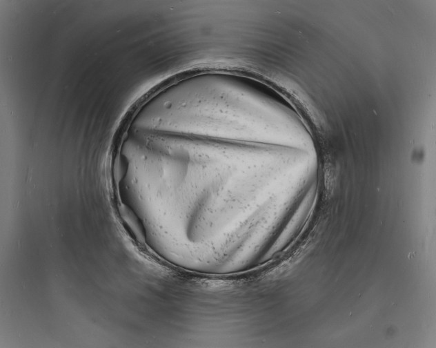 X0000093721030200711060933