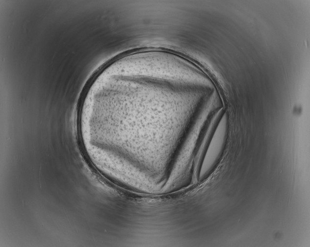 X0000093721032200711060933