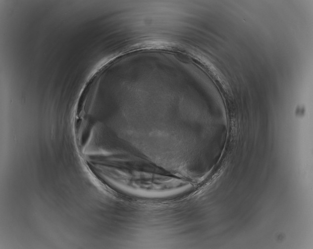 X0000093721034200711060933