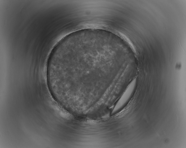 X0000093721035200711060933