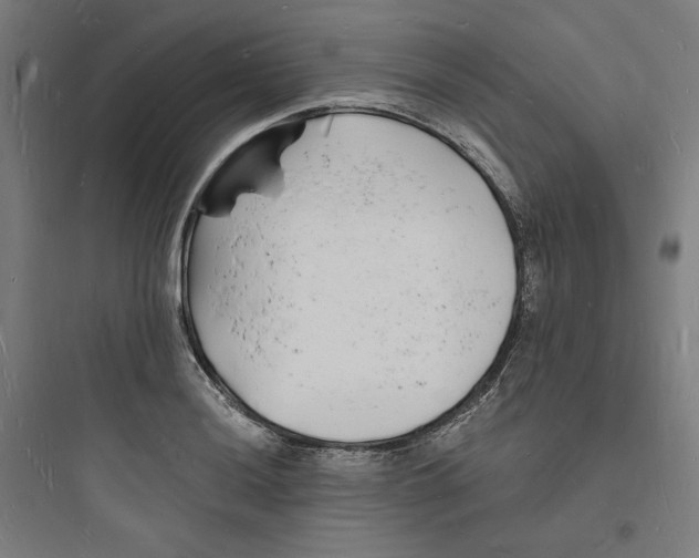 X0000093721036200711060933