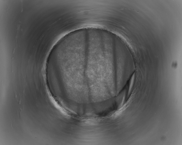 X0000093721038200711060933