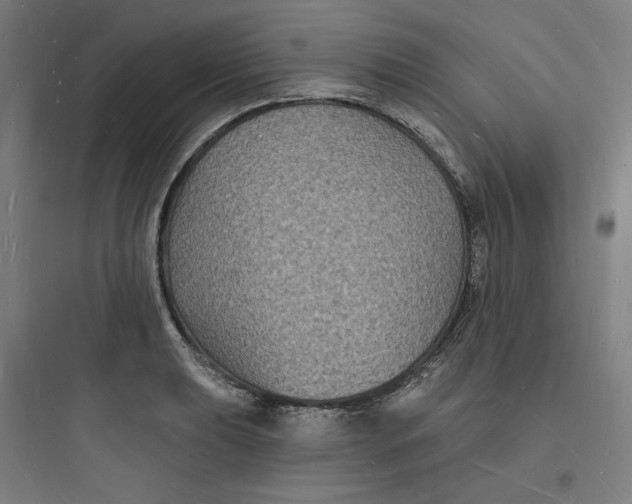 X0000093721039200711060933