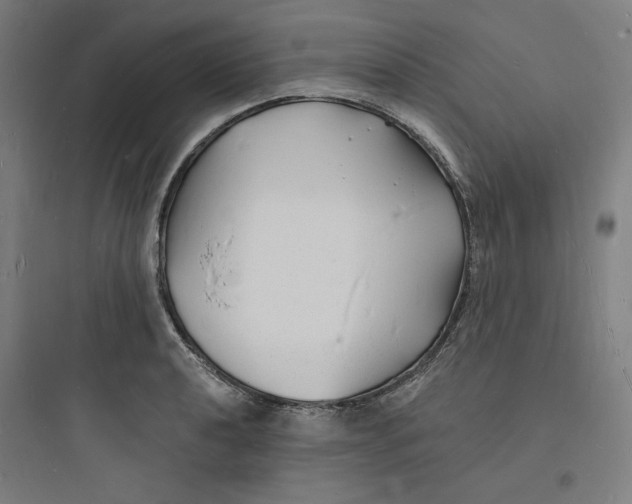 X0000093721040200711060933