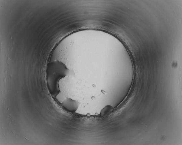 X0000093721041200711060933