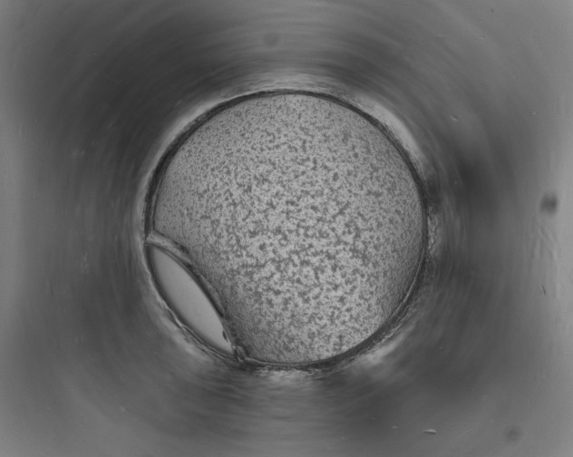 X0000093721043200711060933