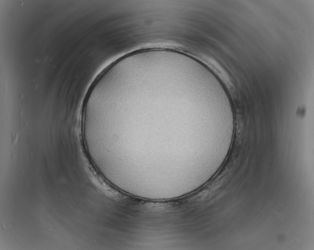 X0000093721044200711060933