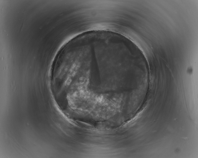 X0000093721045200711060933