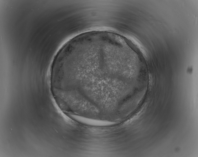 X0000093721046200711060933