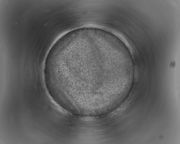 X0000093721048200711060933