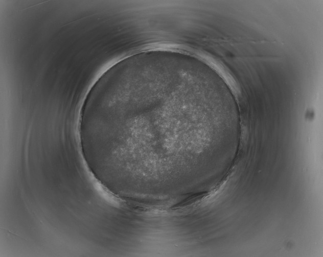 X0000093721050200711060933