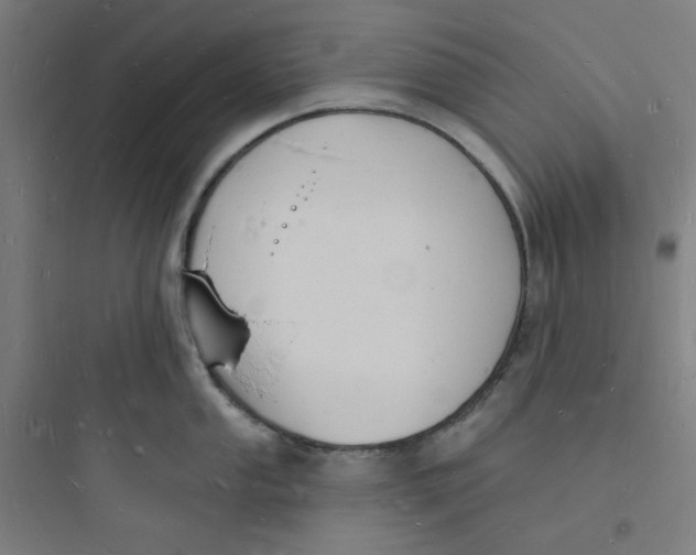 X0000093721053200711060933