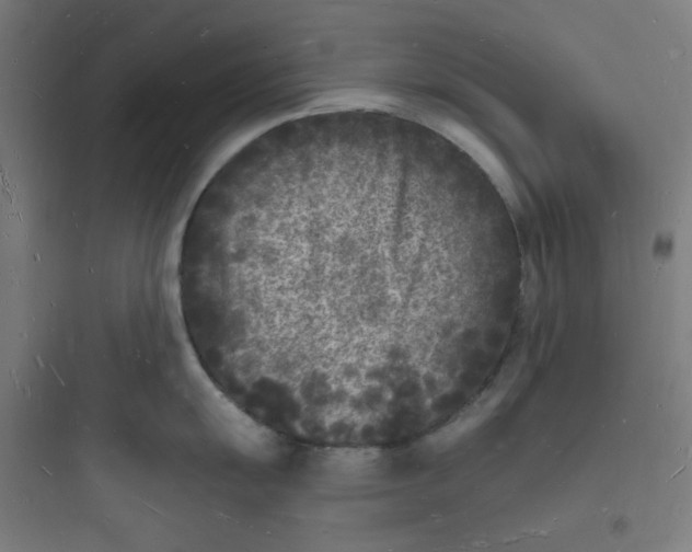 X0000093721055200711060933