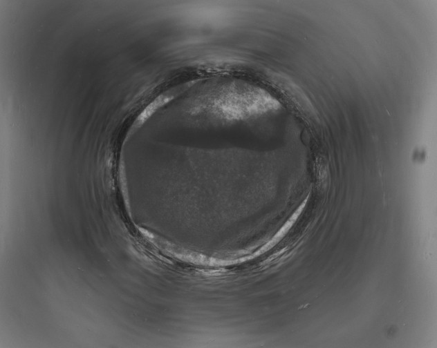 X0000093721060200711060932