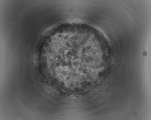 X0000093721063200711060932