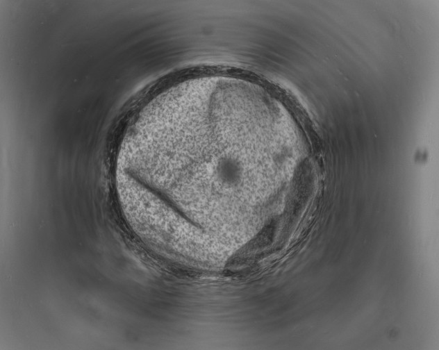 X0000093721064200711060932