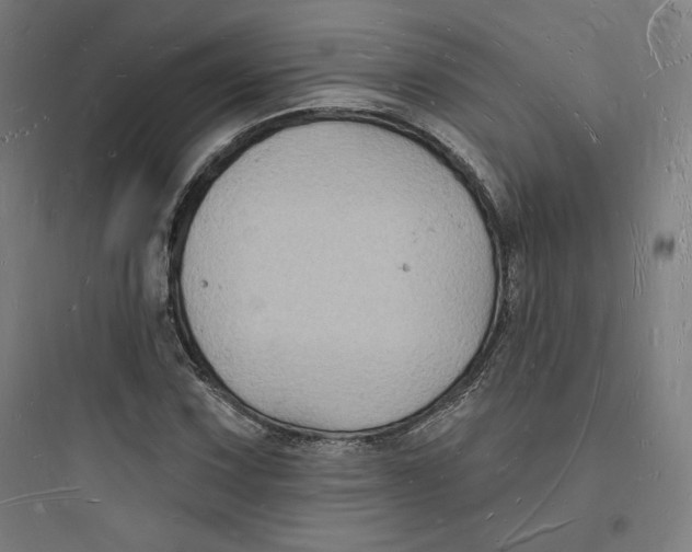 X0000093721067200711060932