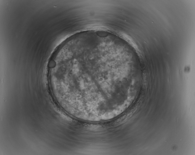 X0000093721071200711060932