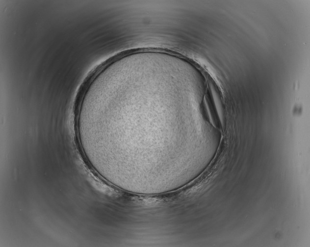 X0000093721072200711060932