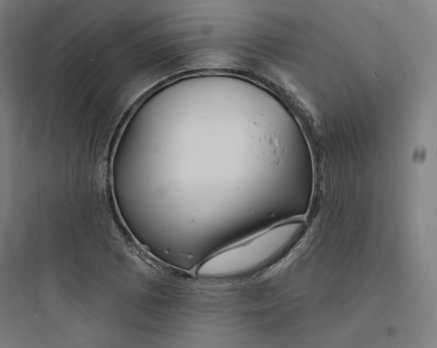 X0000093721073200711060932