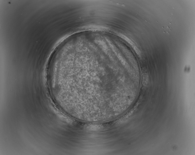 X0000093721074200711060932