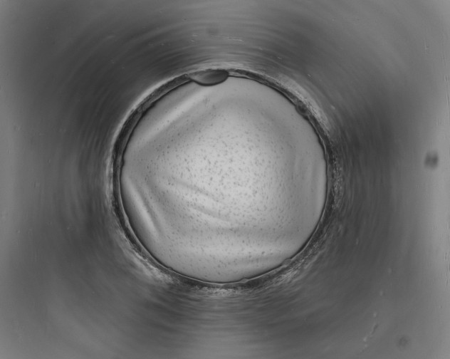 X0000093721076200711060932