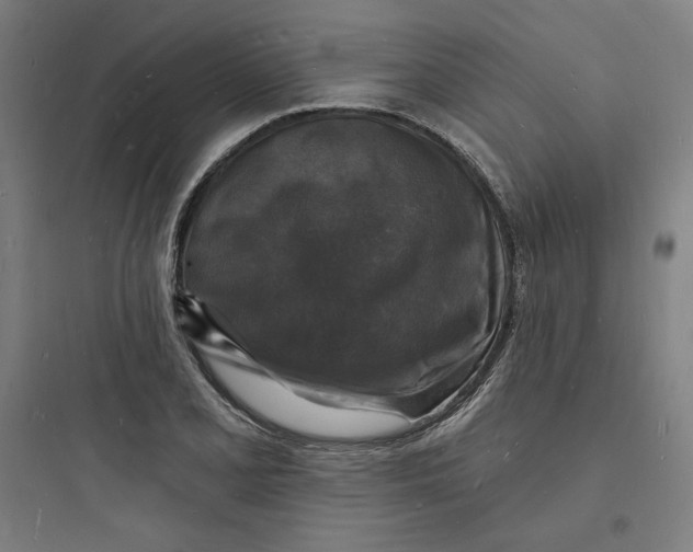 X0000093721077200711060932