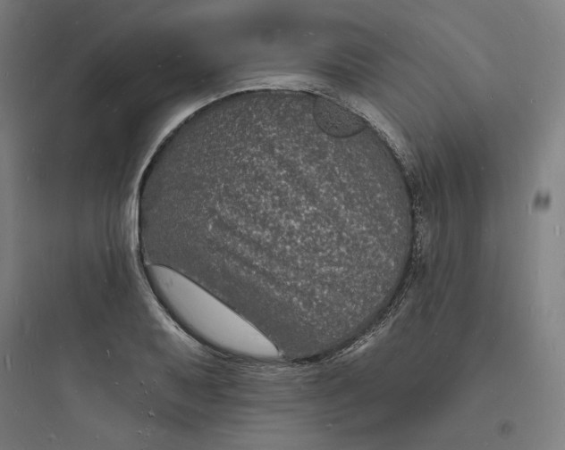 X0000093721079200711060932