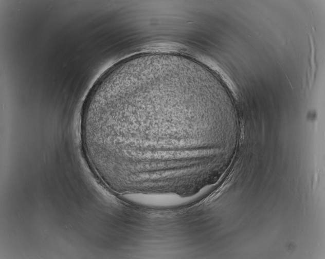 X0000093721083200711060932