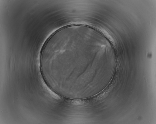 X0000093721084200711060932