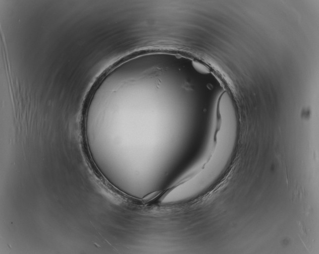 X0000093721085200711060932