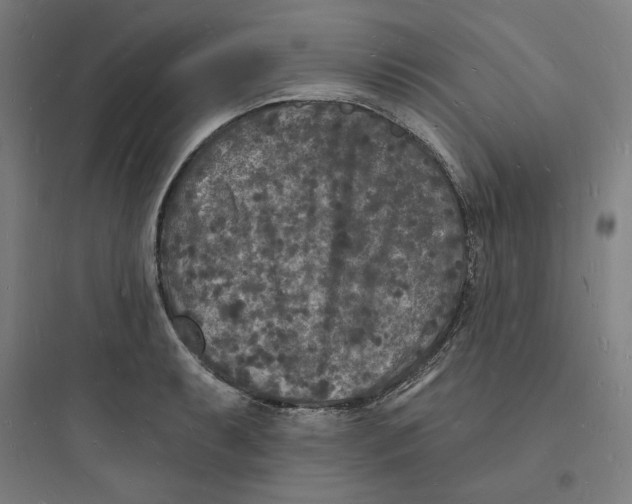 X0000093721087200711060932