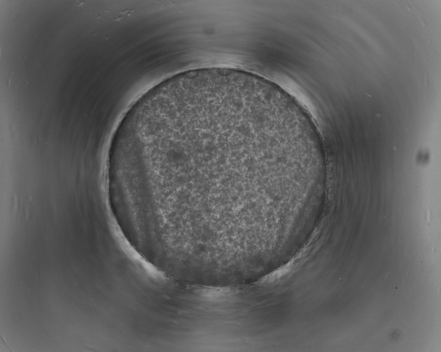 X0000093721088200711060932