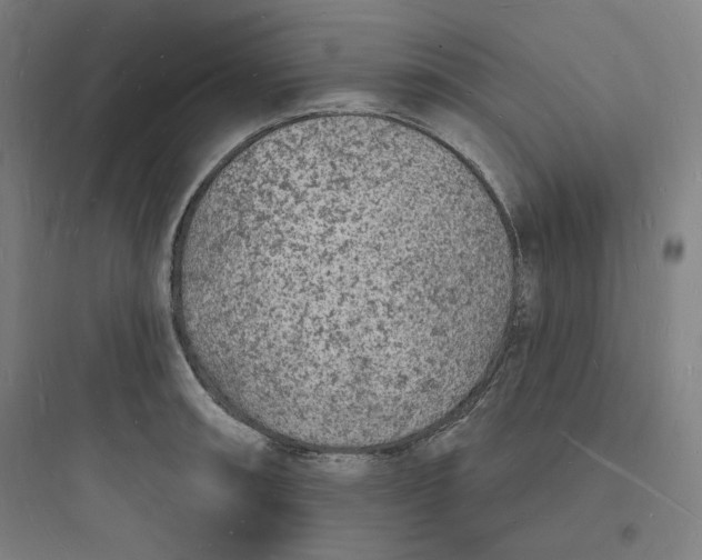 X0000093721090200711060932