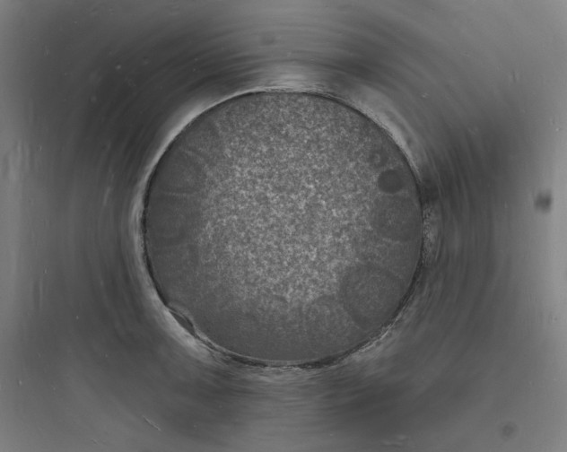 X0000093721091200711060932