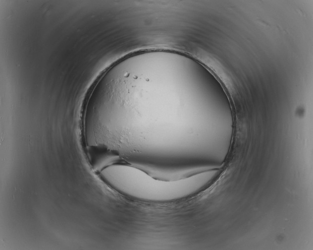 X0000093721093200711060932